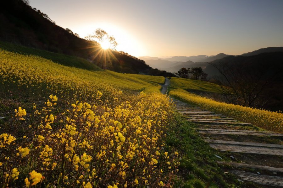 🏞️ 세계 제일 마을 물레방아(세카이이치고스이샤) 이미지 6